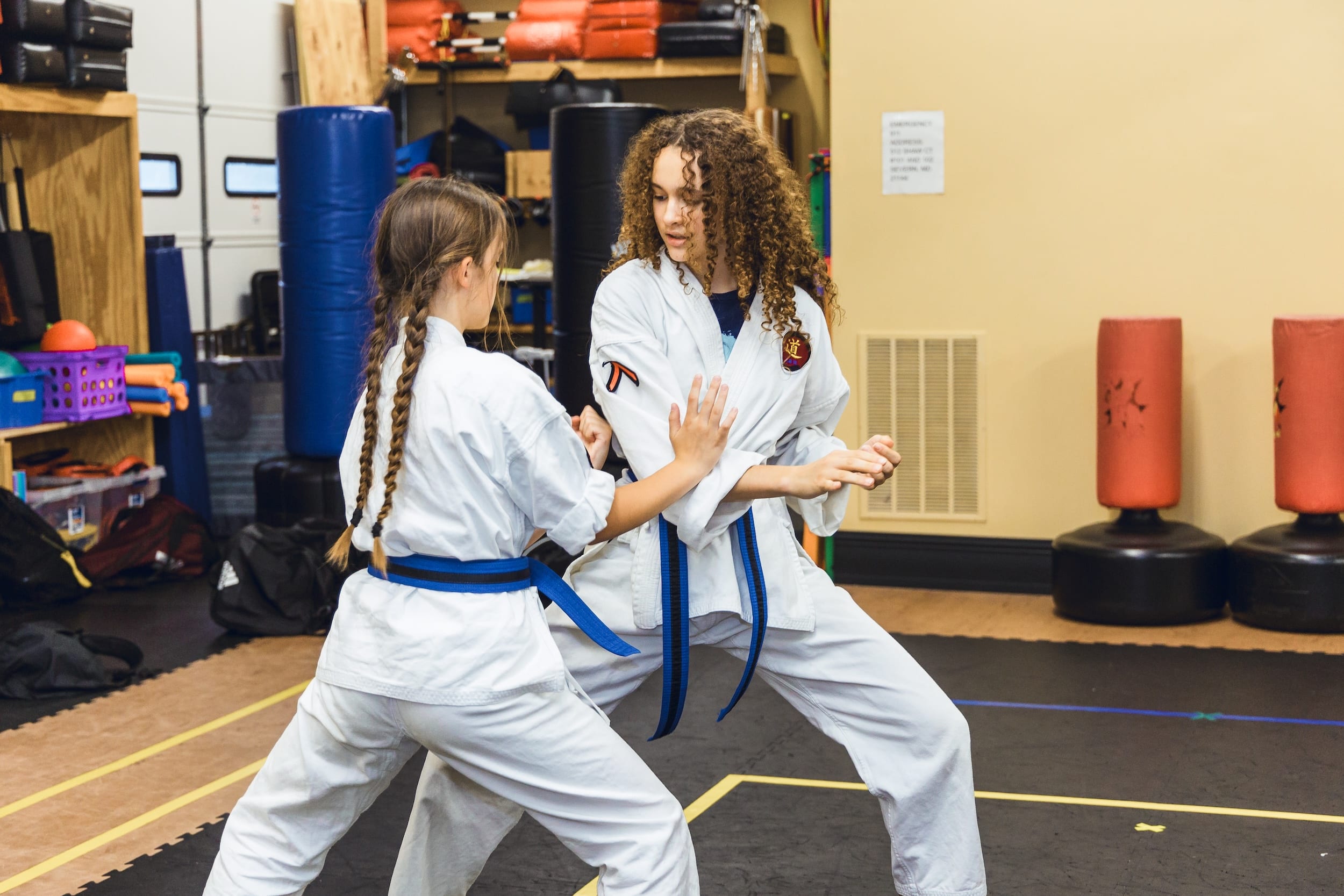 Warriors of Grace  Programs image
